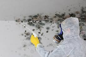 Best Air Quality Testing for Mold Spores  in East Peoria, IL